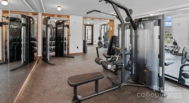 $3,159 | 300 East 36th Street, Unit C1, Charlotte, NC 28206