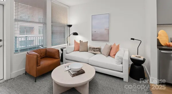 $3,260 | 300 East 36th Street, Unit C1, Charlotte, NC 28206