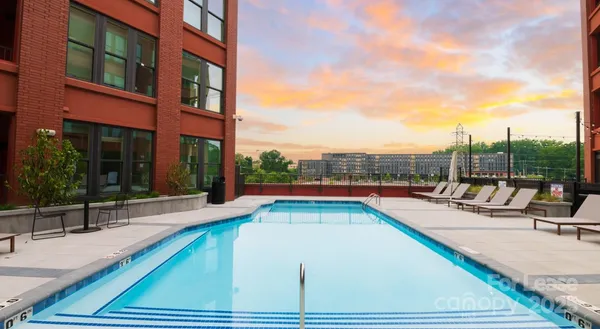 $3,260 | 300 East 36th Street, Unit C1, Charlotte, NC 28206