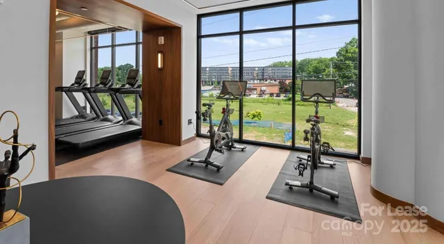 $3,159 | 300 East 36th Street, Unit C1, Charlotte, NC 28206