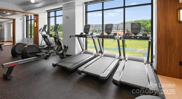 $3,260 | 300 East 36th Street, Unit C1, Charlotte, NC 28206