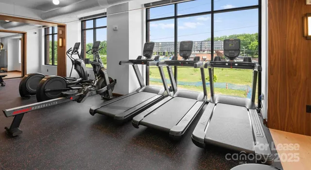 $3,159 | 300 East 36th Street, Unit C1, Charlotte, NC 28206