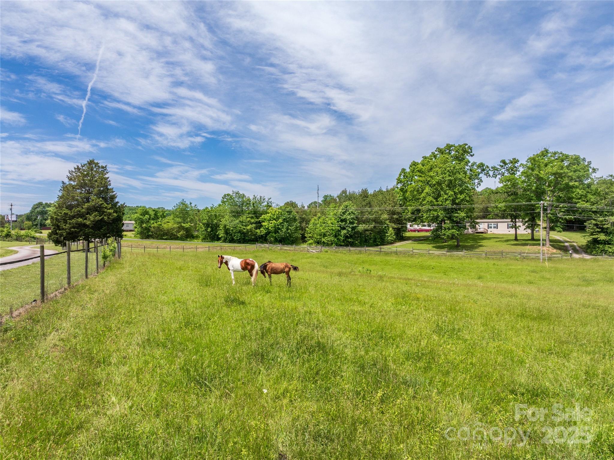 495 Dancing Willow Way Rutherfordton, NC 28139 - Photo 46 of 48