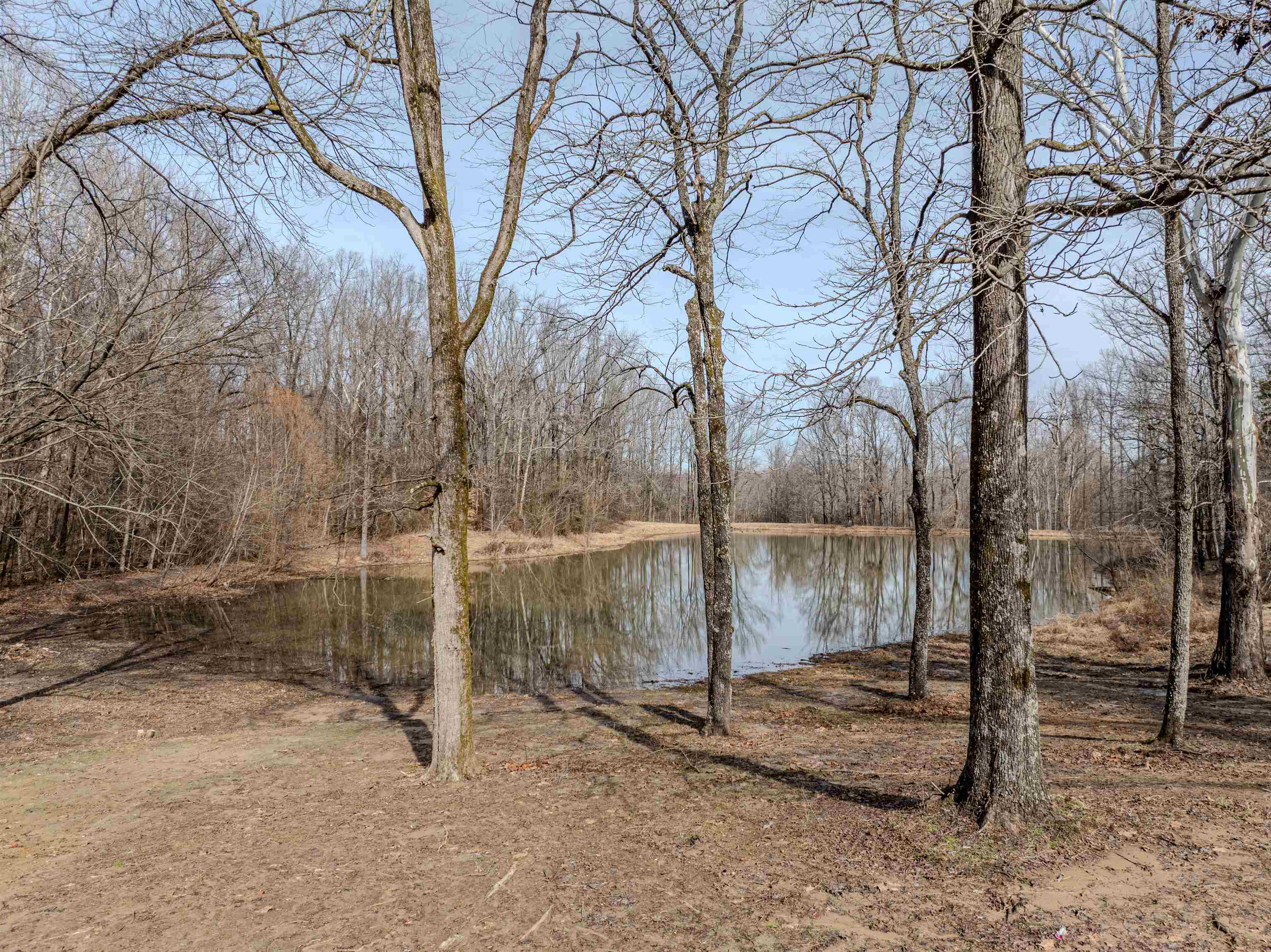 2290 St Paul Road Millington, TN 38053 - Photo 14 of 38 Gallery Image 14