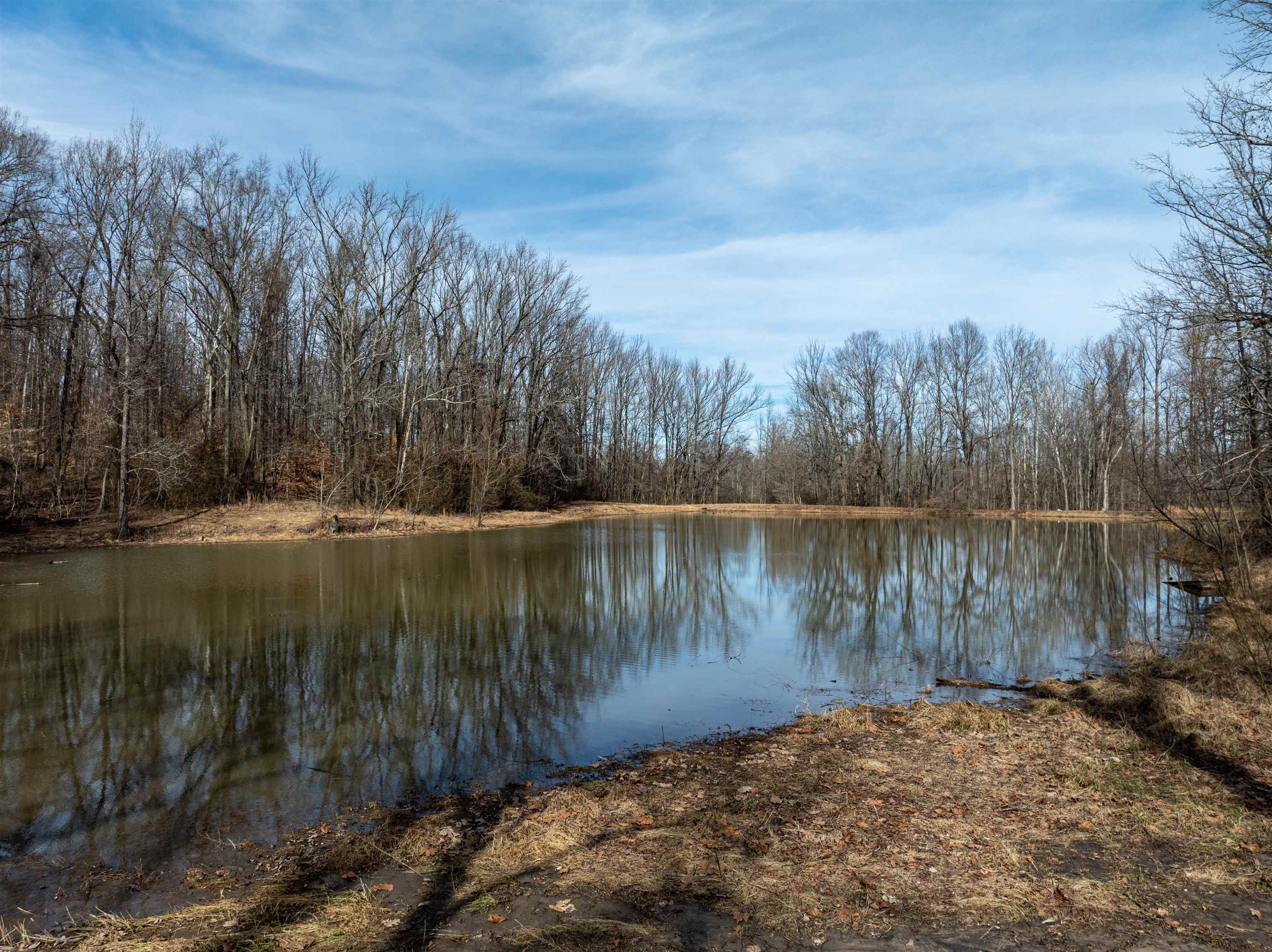 2290 St Paul Road Millington, TN 38053 - Photo 32 of 38 Gallery Image 32