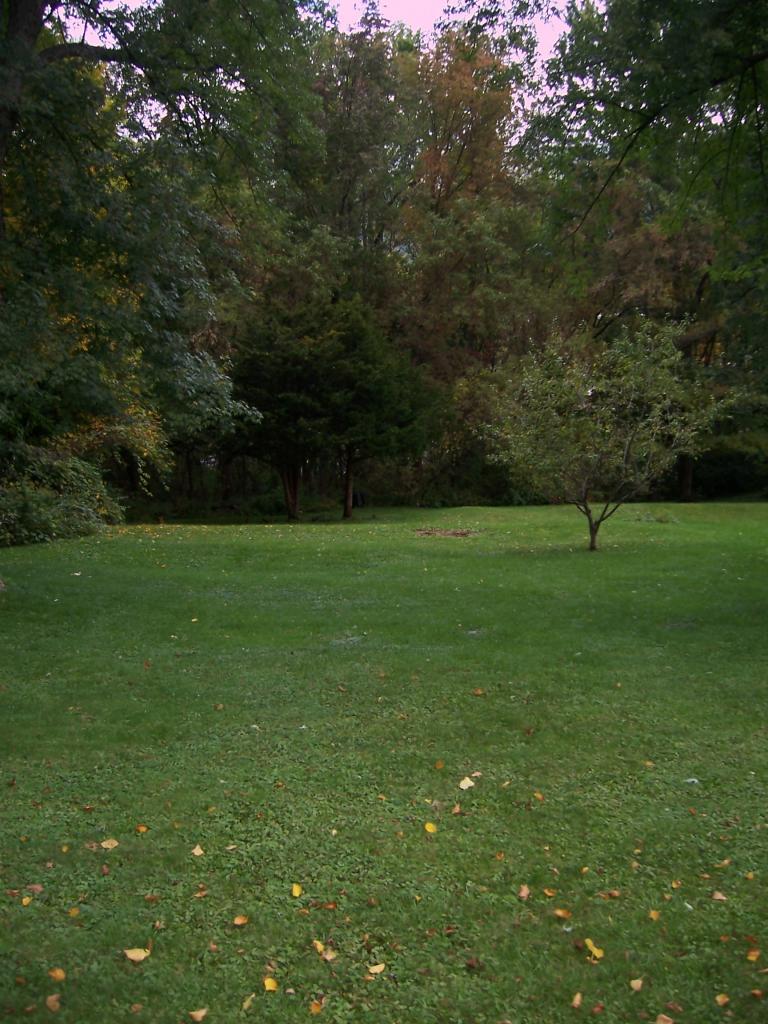 Yard