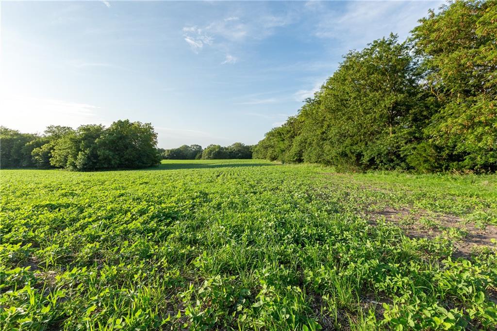 12307 Crescent Road Gilman City, MO 64642 - Photo 22 of 63