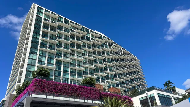 a view of outdoor space yard and tree