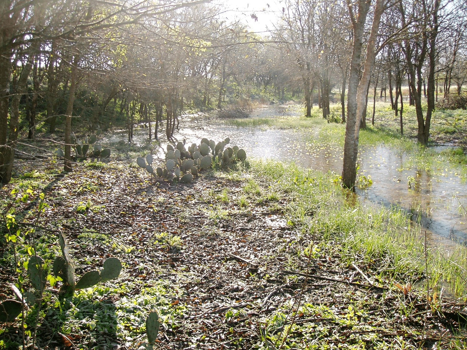 11913 McAngus Road Del Valle, TX 78617 - Photo 11 of 45 a view of a lake view