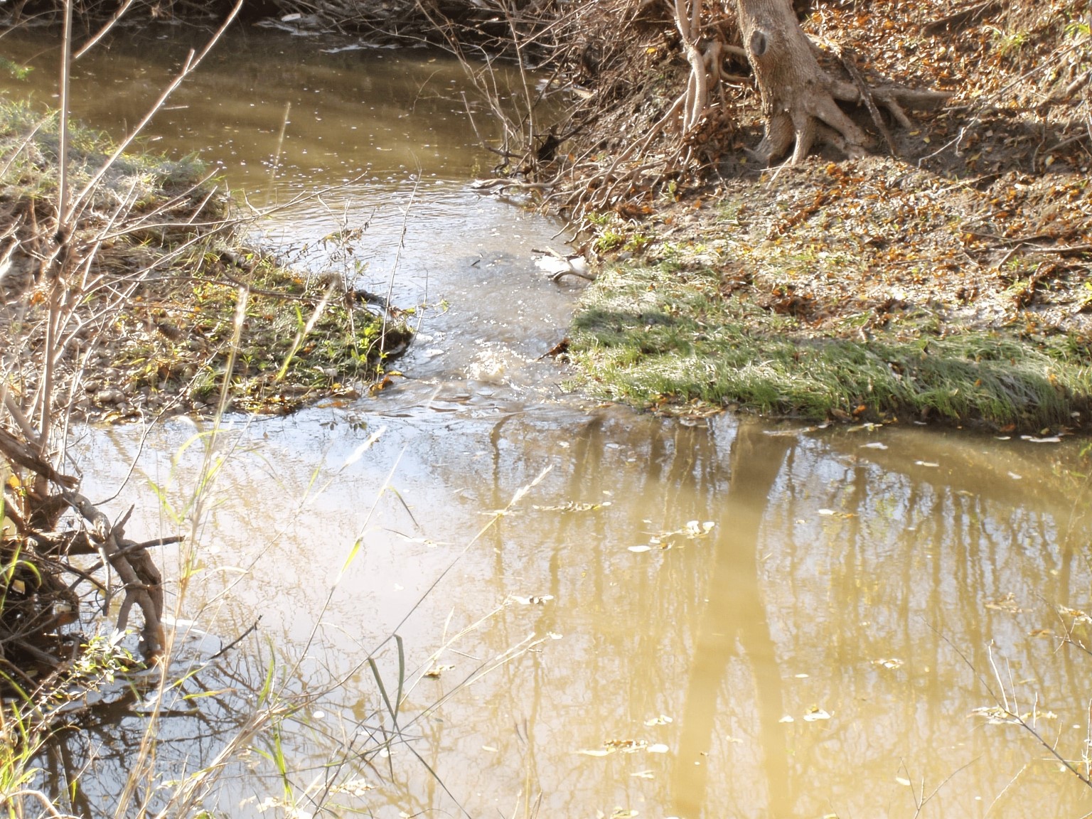 11913 McAngus Road Del Valle, TX 78617 - Photo 16 of 45 a view of lake view