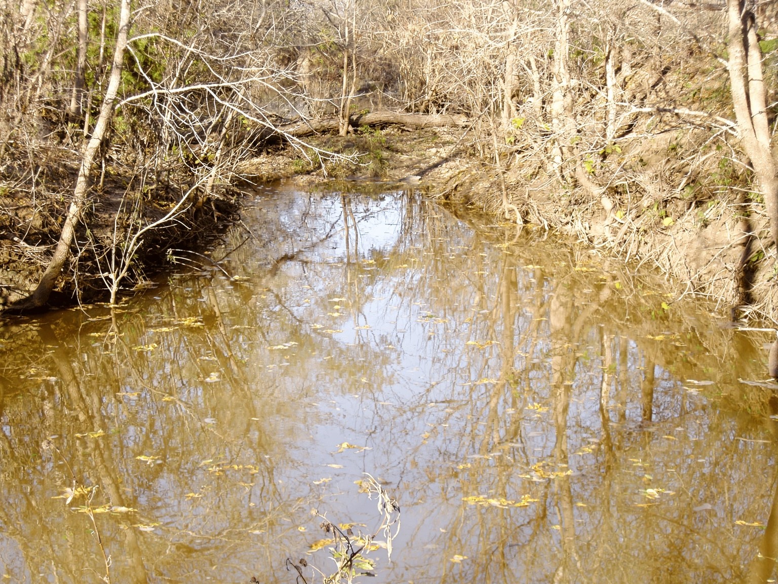 11913 McAngus Road Del Valle, TX 78617 - Photo 17 of 45 a picture of a door