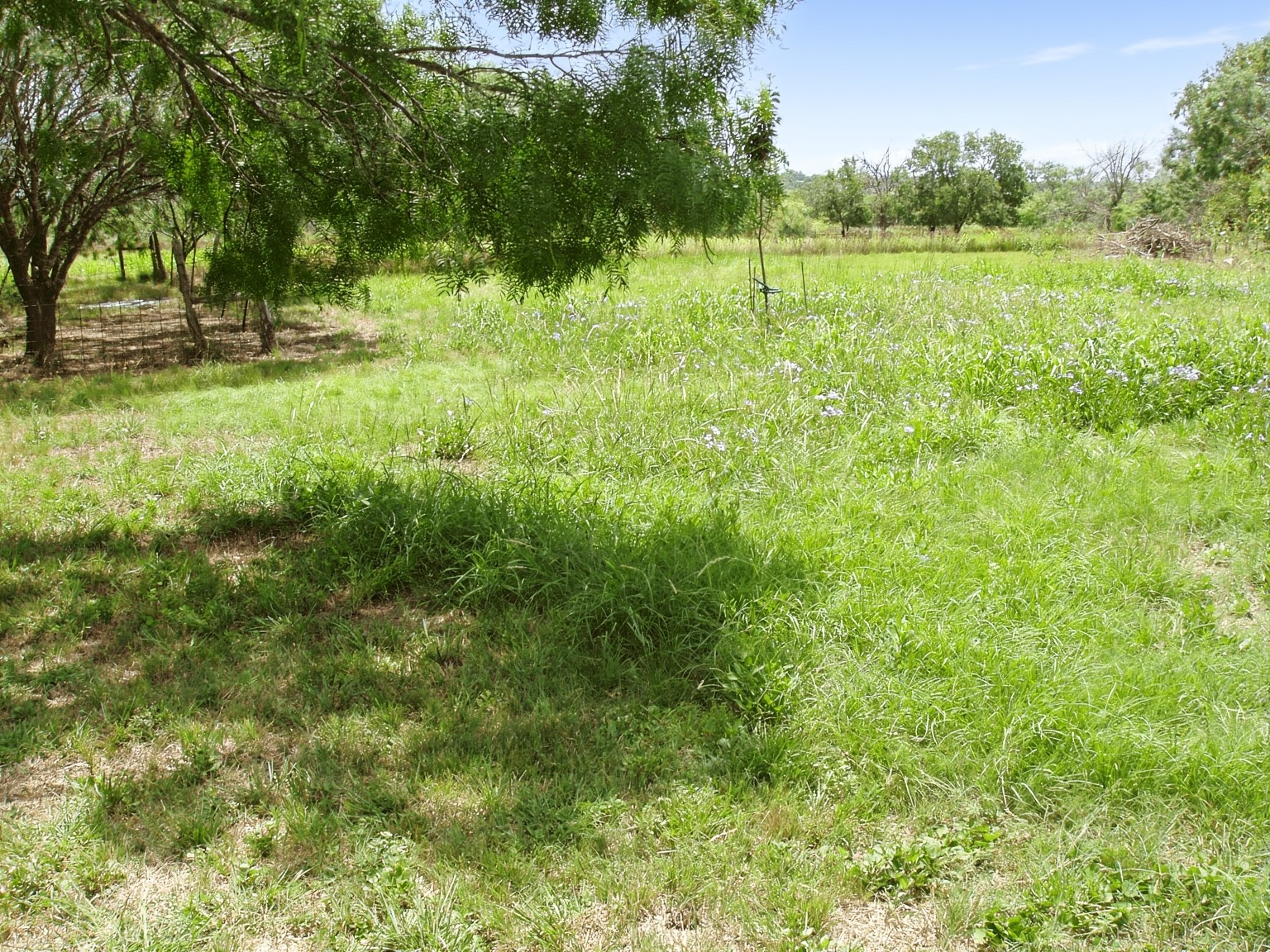 11913 McAngus Road Del Valle, TX 78617 - Photo 21 of 45 a view of outdoor space and yard