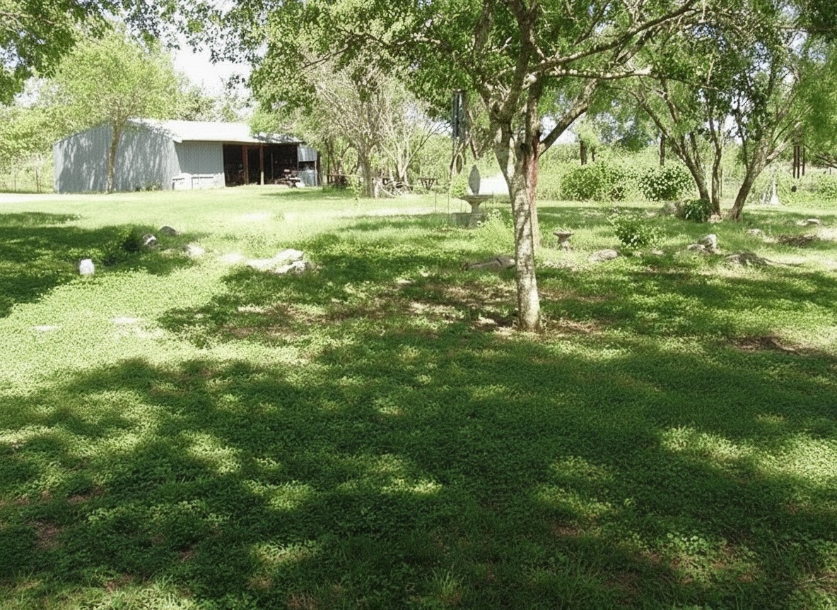 11913 McAngus Road Del Valle, TX 78617 - Photo 3 of 45 a fire hydrant in the middle of a field