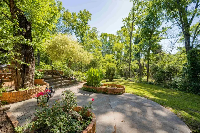 a view of yard with green space