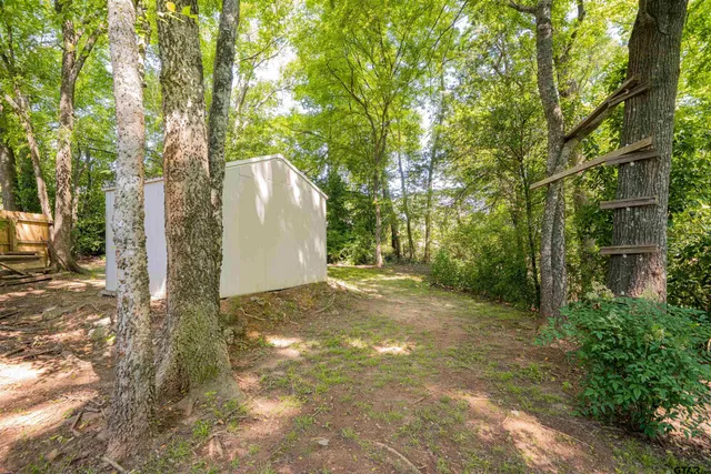 a view of a yard with plants and trees