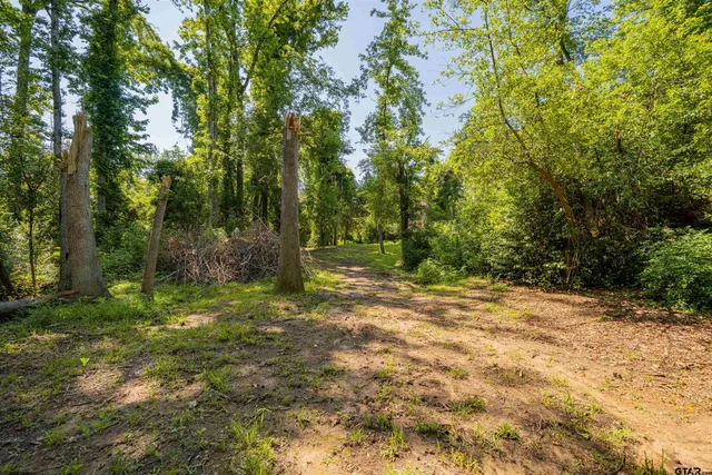 a view of outdoor space with trees