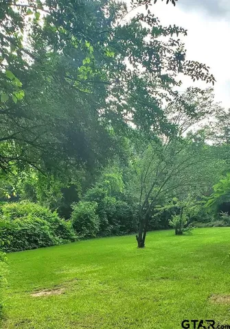 a view of green field with trees in the background
