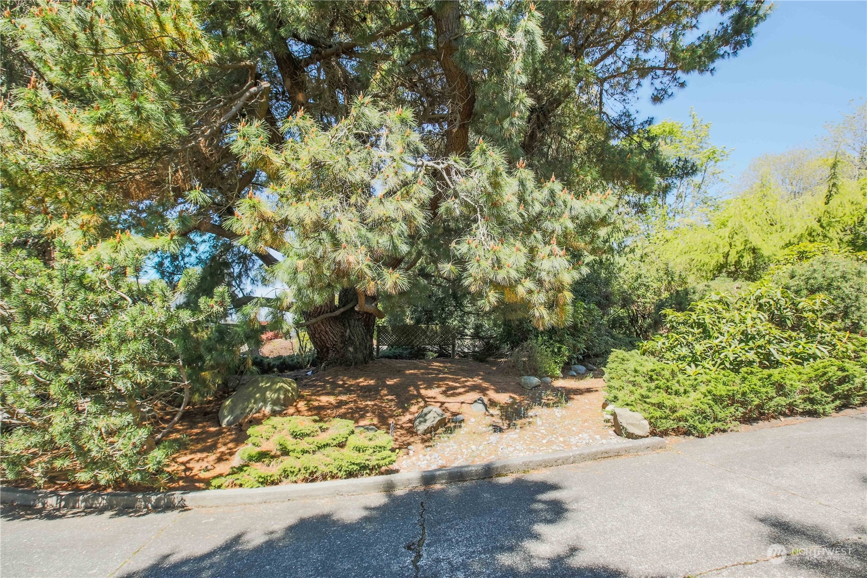 8168 Cultus Bay Road Clinton, WA 98236 - Photo 28 of 38 a view of a pathway both side of yard