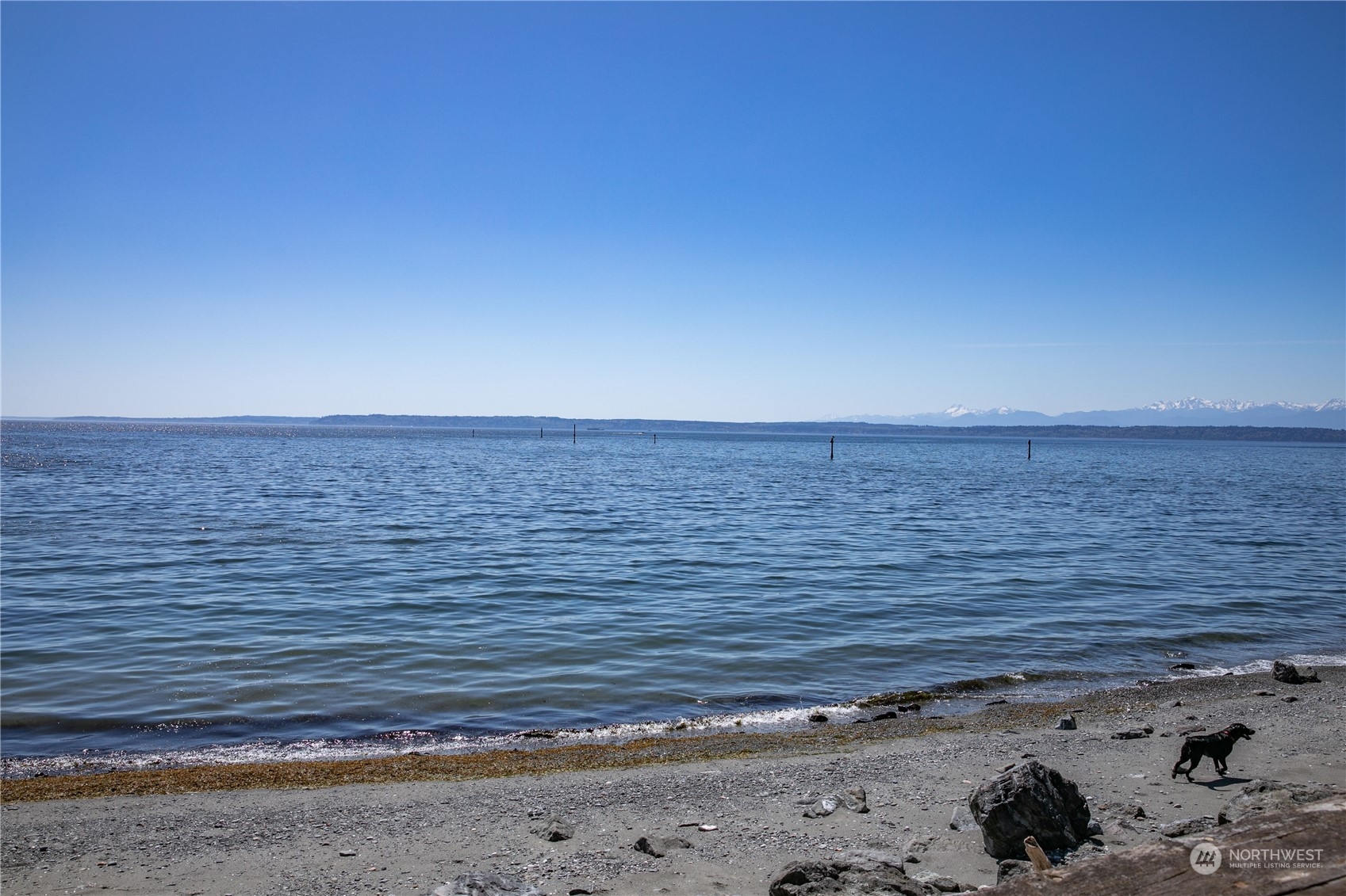 8168 Cultus Bay Road Clinton, WA 98236 - Photo 32 of 38 a view of an ocean beach