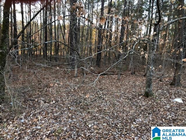 8140 Kimbrell Cutoff Road, Unit 1 McCalla, AL 35111 - Photo 2 of 4