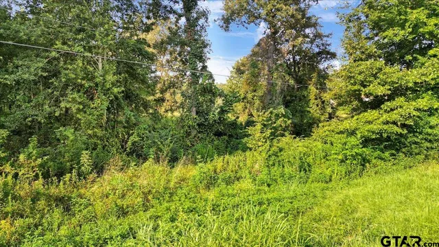 a view of a lake with a yard