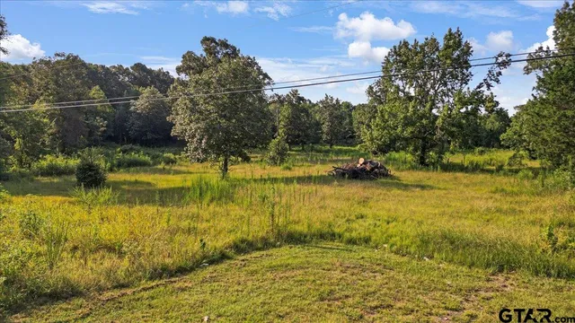 a backyard of a house with lots of green space