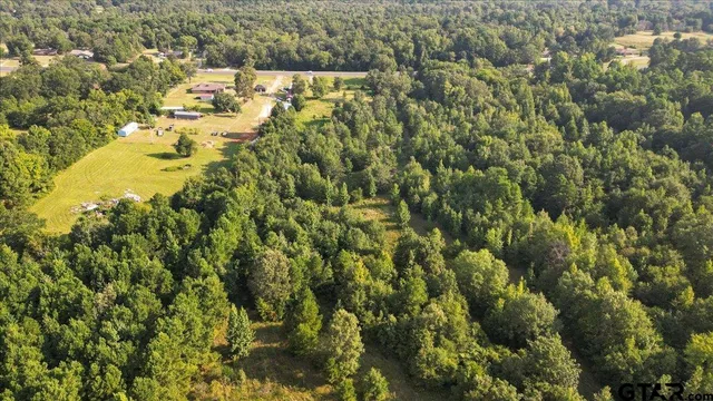 a view of a bunch of trees