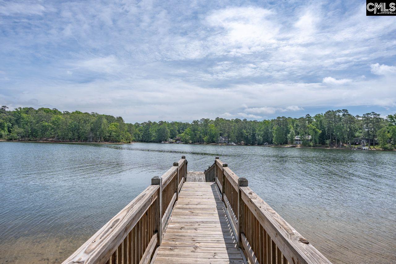 1137 Hilton Point Road Chapin, SC 29036 - Photo 3 of 24