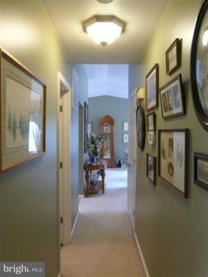 Interior (General)