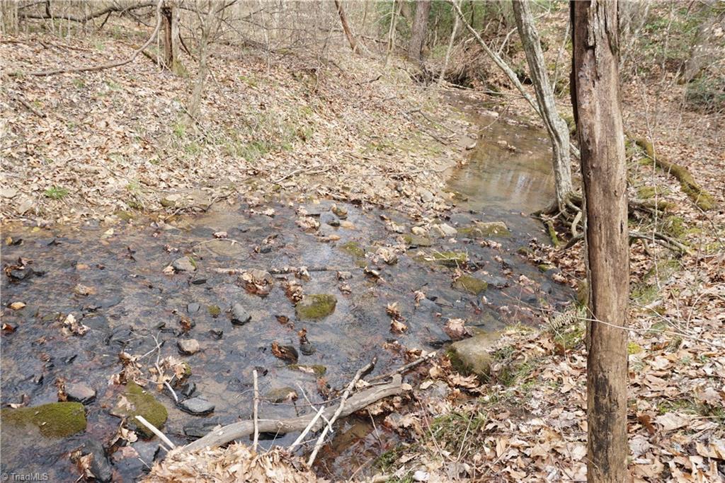 1 Griffin Road Rural Hall, NC 27045 - Photo 2 of 30