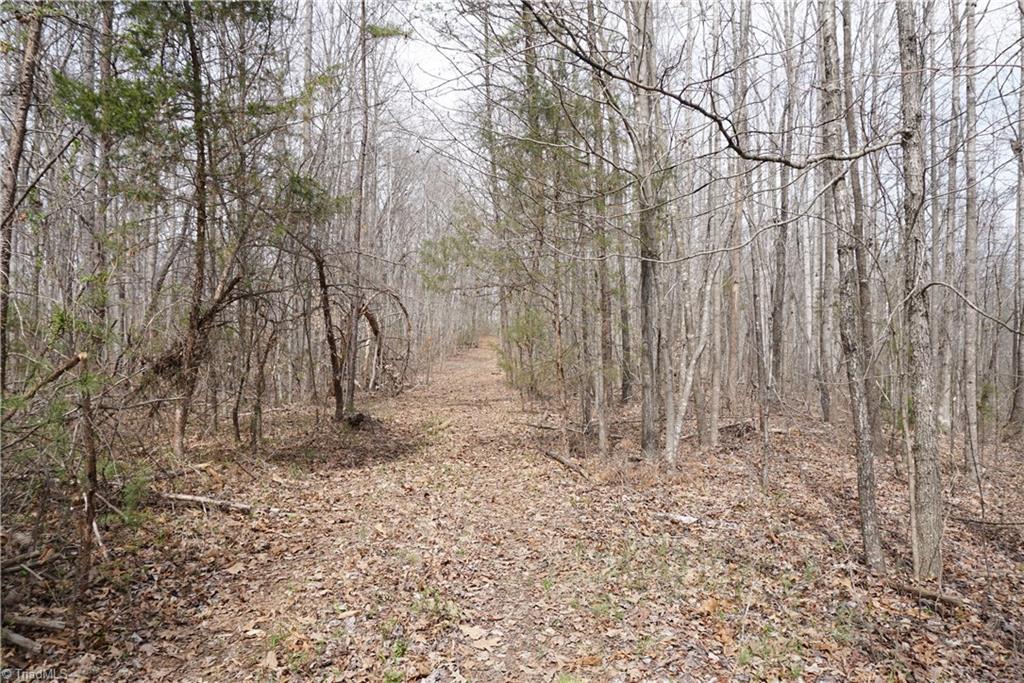 1 Griffin Road Rural Hall, NC 27045 - Photo 12 of 30