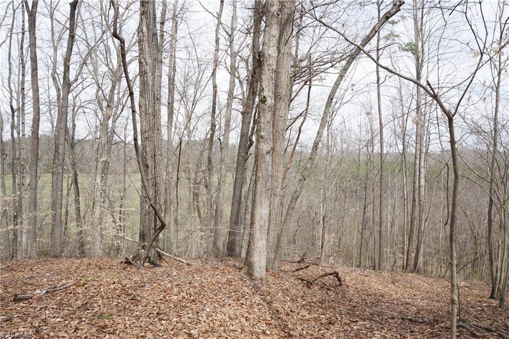 1 Griffin Road Rural Hall, NC 27045 - Photo 18 of 30