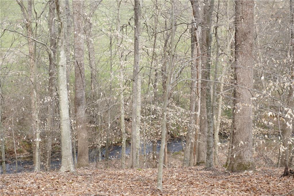 1 Griffin Road Rural Hall, NC 27045 - Photo 19 of 30