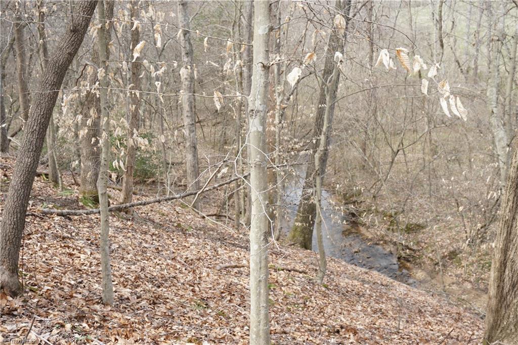 1 Griffin Road Rural Hall, NC 27045 - Photo 20 of 30