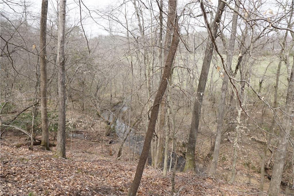 1 Griffin Road Rural Hall, NC 27045 - Photo 21 of 30
