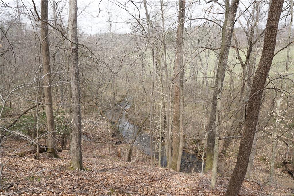 1 Griffin Road Rural Hall, NC 27045 - Photo 22 of 30