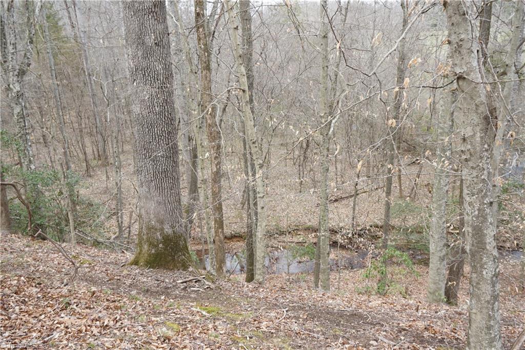 1 Griffin Road Rural Hall, NC 27045 - Photo 25 of 30