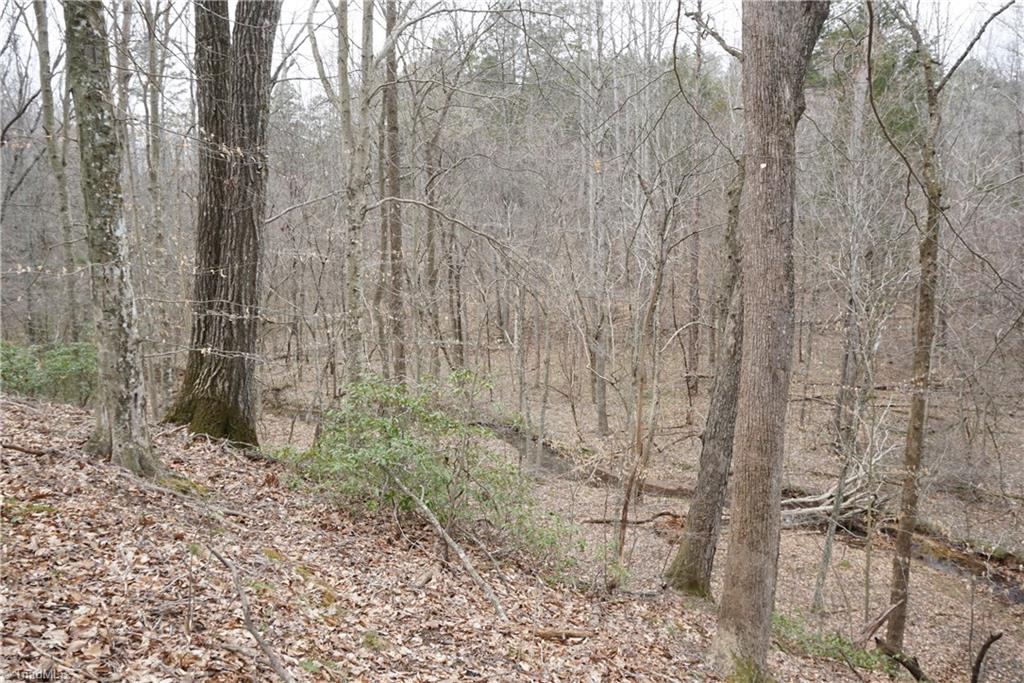 1 Griffin Road Rural Hall, NC 27045 - Photo 26 of 30