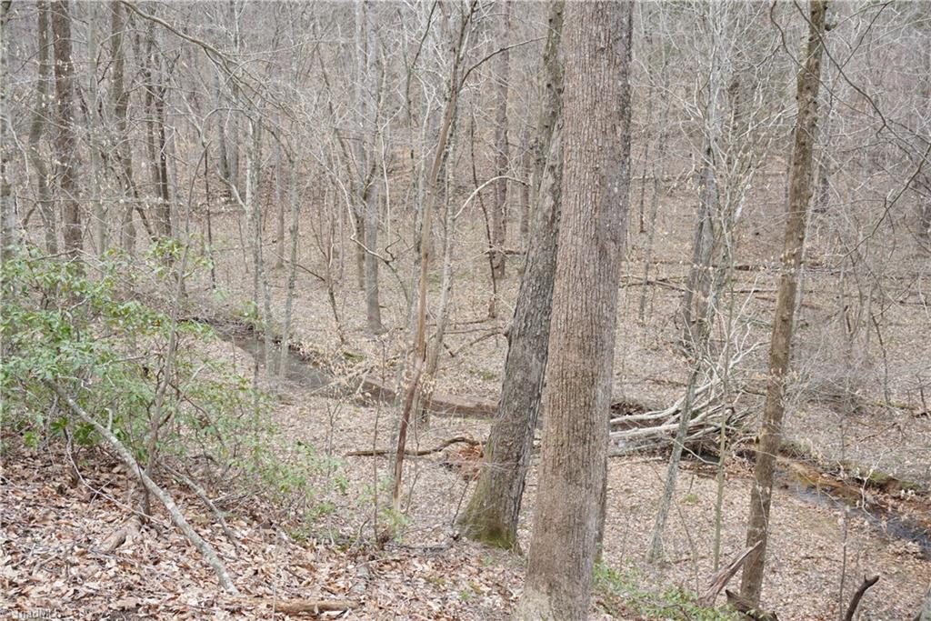 1 Griffin Road Rural Hall, NC 27045 - Photo 27 of 30