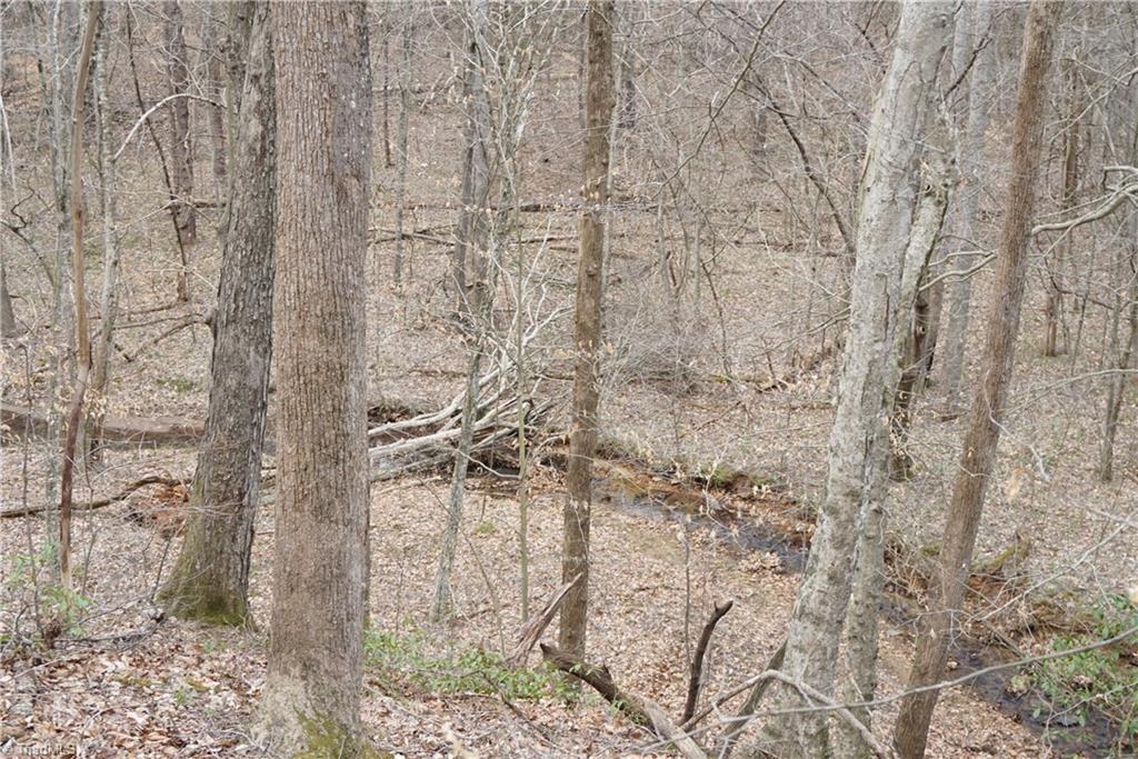 1 Griffin Road Rural Hall, NC 27045 - Photo 28 of 30
