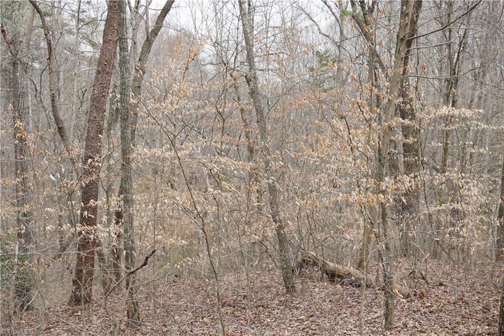 1 Griffin Road Rural Hall, NC 27045 - Photo 29 of 30