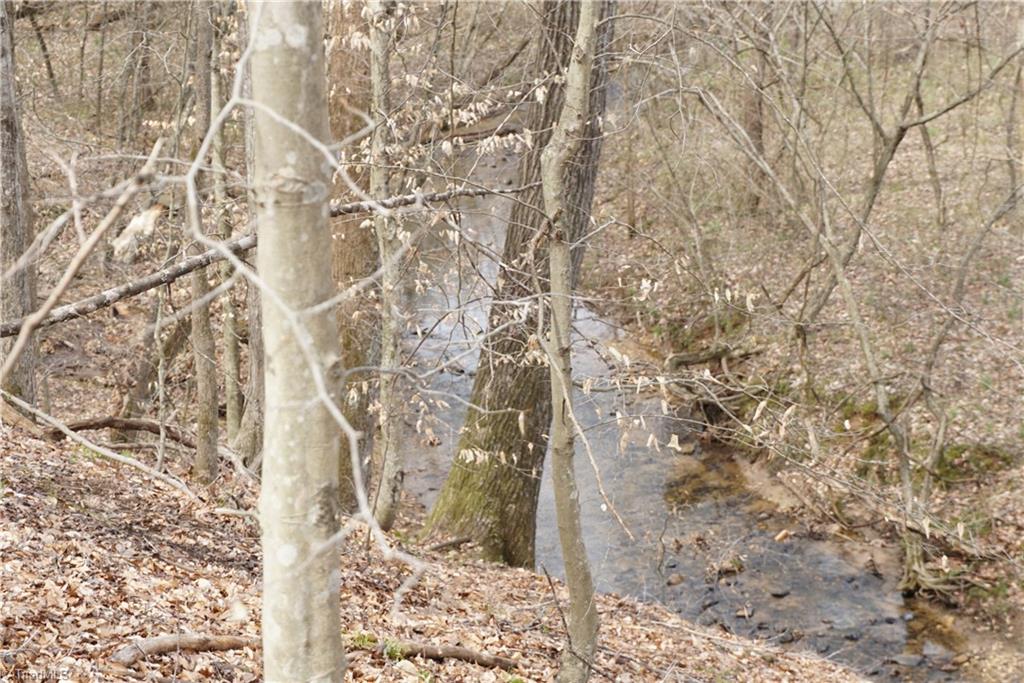 1 Griffin Road Rural Hall, NC 27045 - Photo 4 of 30