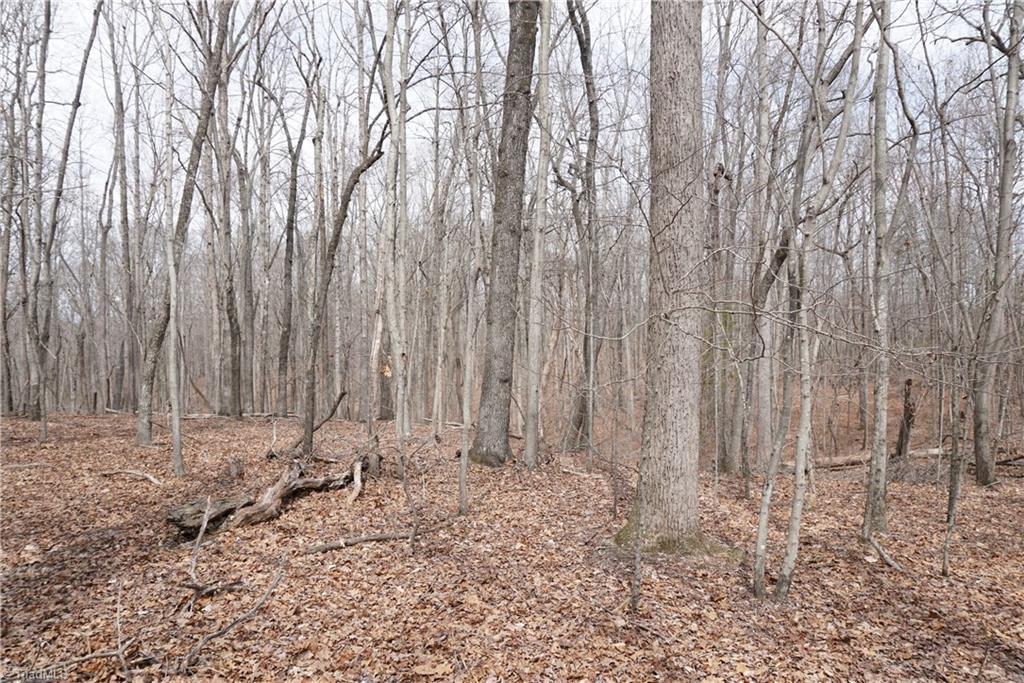 1 Griffin Road Rural Hall, NC 27045 - Photo 5 of 30