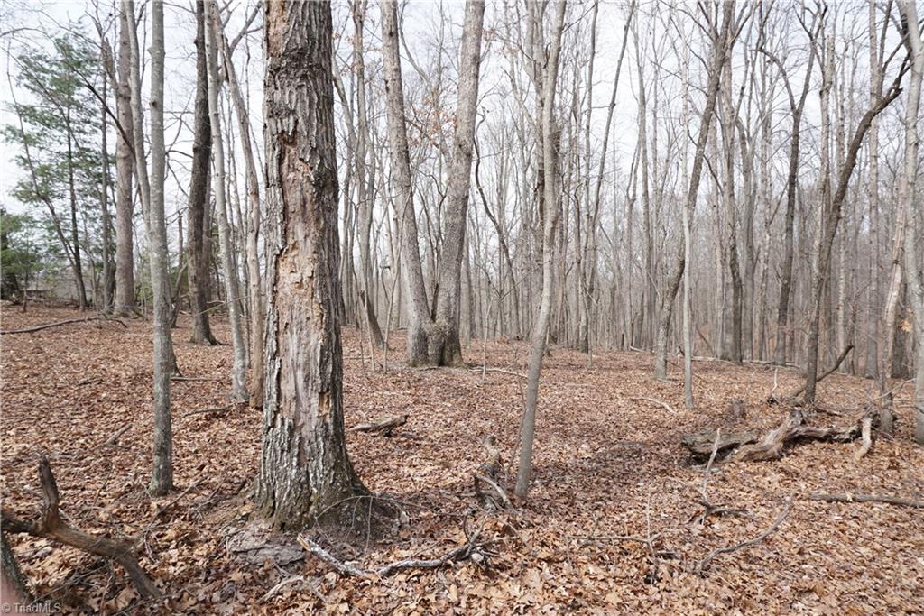 1 Griffin Road Rural Hall, NC 27045 - Photo 6 of 30