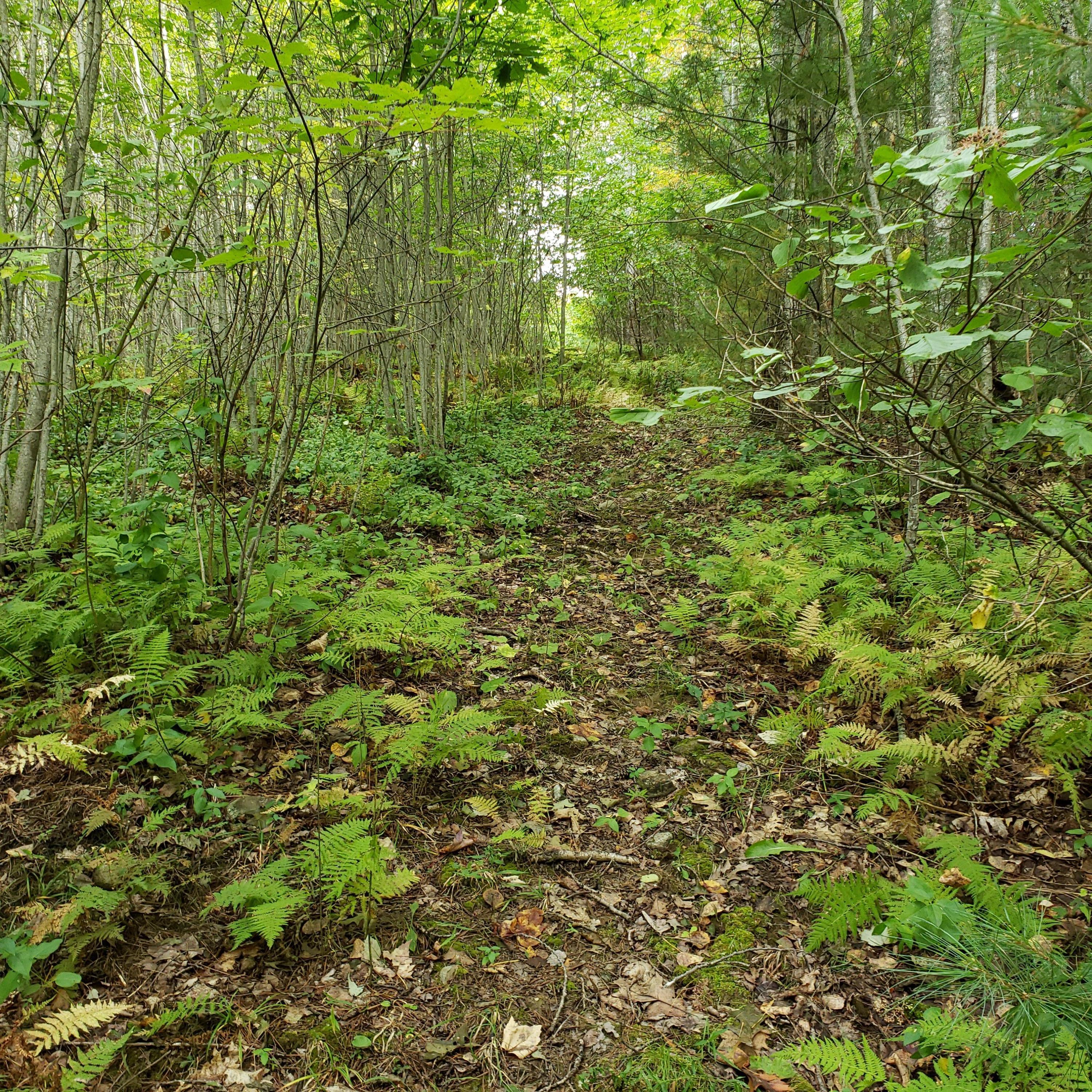 315 Bristol Road Damariscotta, ME 04543 - Photo 57 of 66 20190925_134552