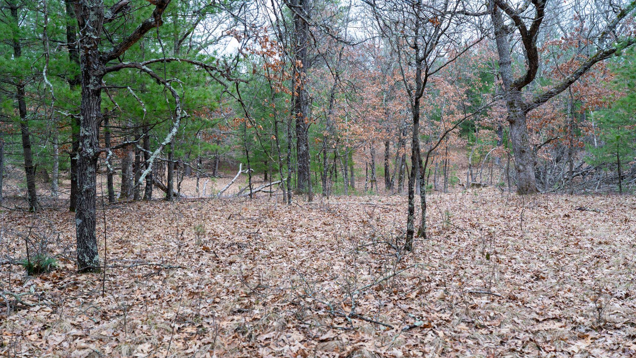 Lot 3-87 Ac Dover Adams, WI 53910 - Photo 11 of 37