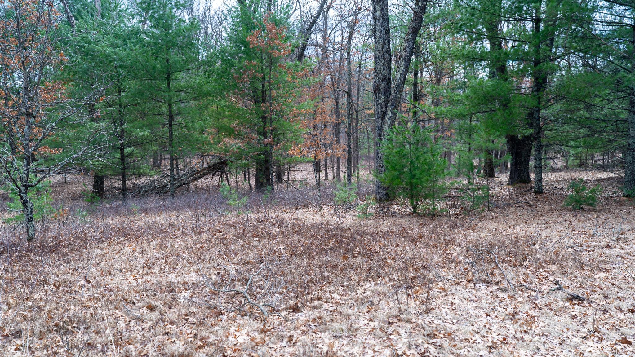Lot 3-87 Ac Dover Adams, WI 53910 - Photo 13 of 37