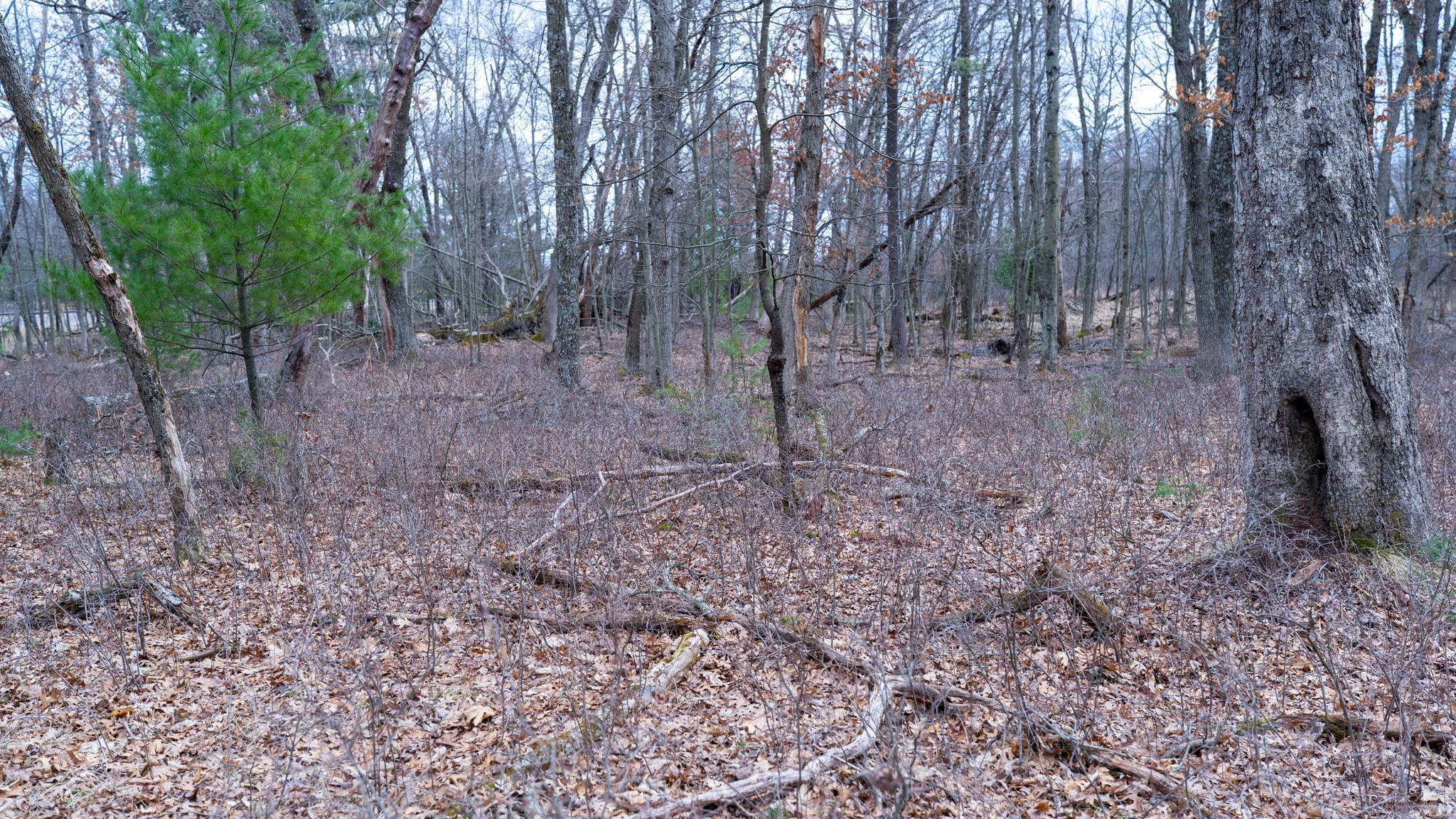 Lot 3-87 Ac Dover Adams, WI 53910 - Photo 15 of 37