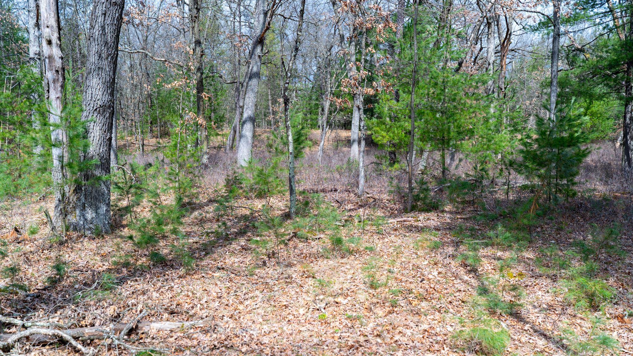 Lot 3-87 Ac Dover Adams, WI 53910 - Photo 17 of 37