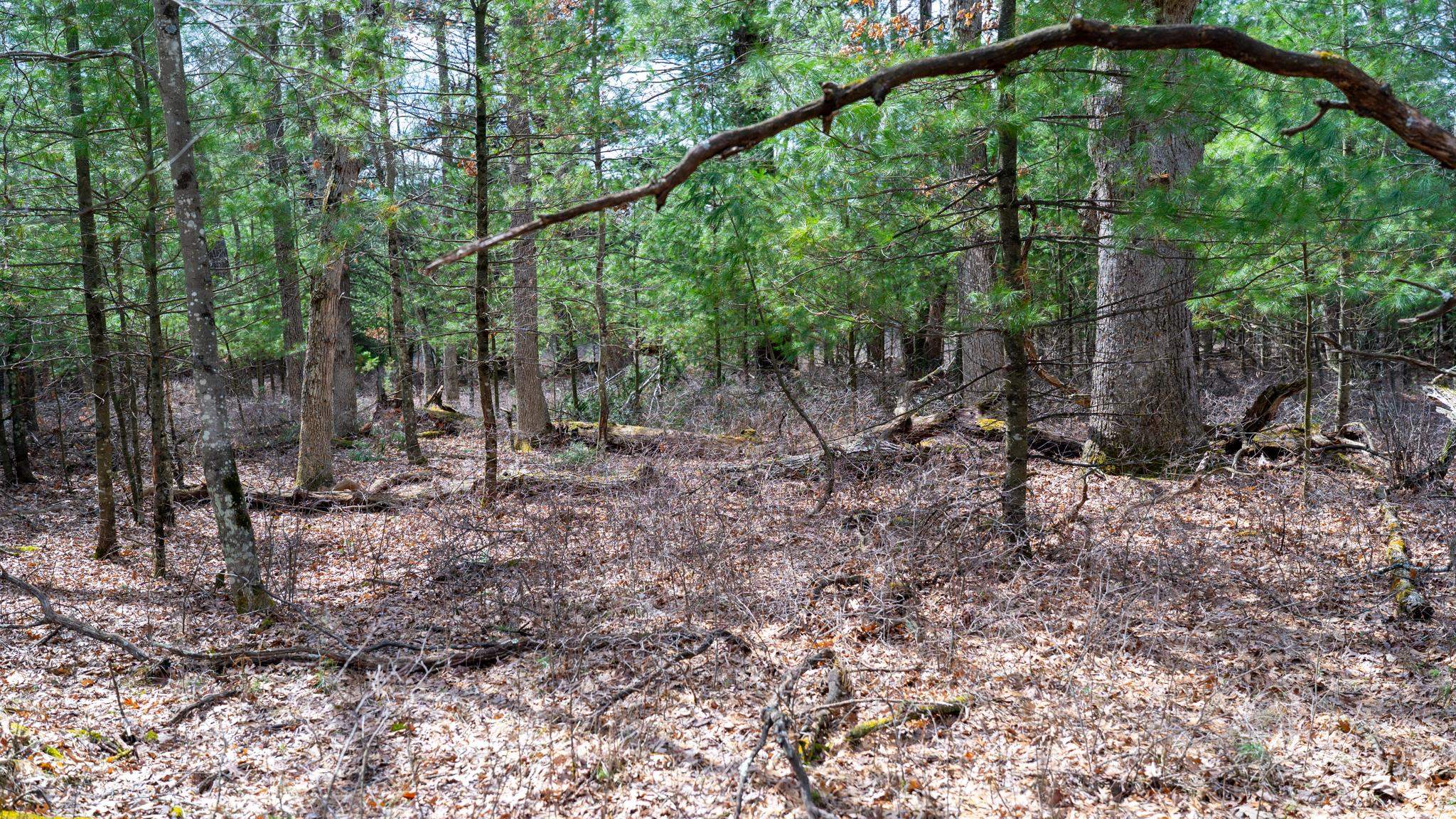 Lot 3-87 Ac Dover Adams, WI 53910 - Photo 19 of 37